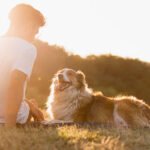 Tips for New Dog Owners
