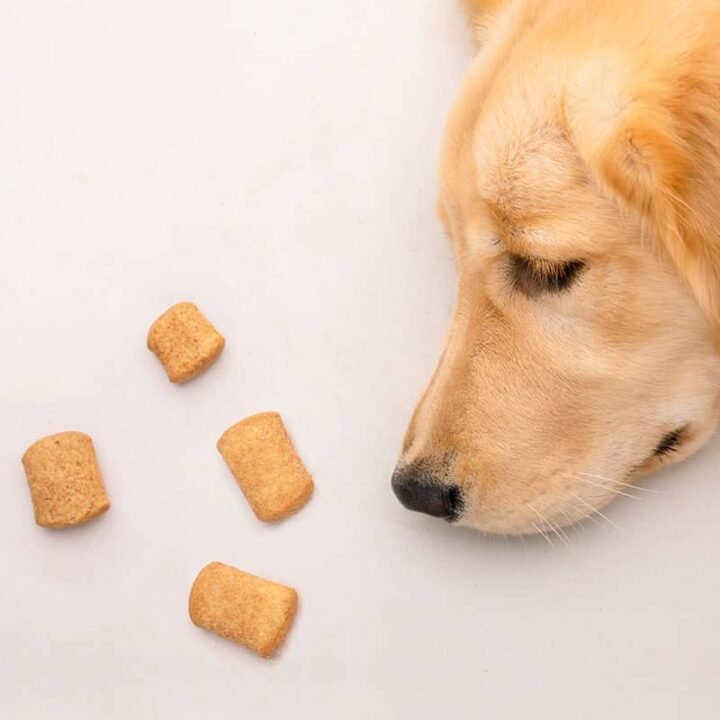 Oatmeal Turkey Dog Treats