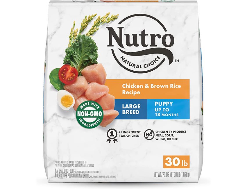 Nutro Max Natural Large Breed Puppy Dry Food