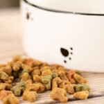 The Best Dry Dog Foods