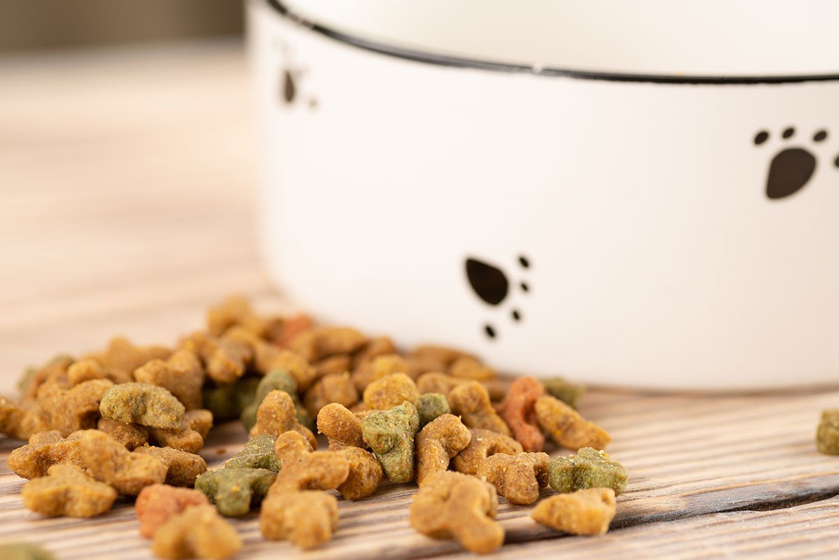 The 10 Best Dry Dog Foods The Pet Lovers Club